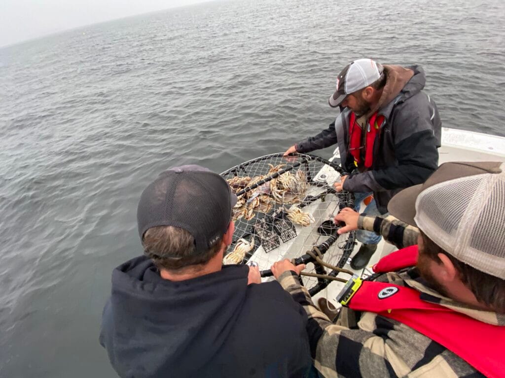 pulling crab pots in ilwaco