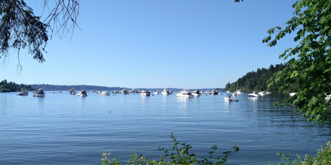 seward park andrews bay